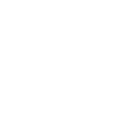 Nintendo Switch (Boxed version)